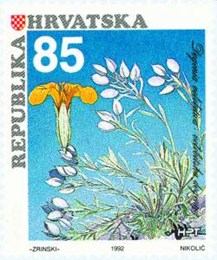 HRVATSKA FLORA-ENDEMIČNE BILJKE HRVATSKE-VELEBITSKA DEGENIJA