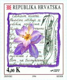 FLORA HRVATSKOG PODRUČJA -VIZIJANIJEV MRAZOVAC
