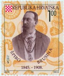 OBLJETNICE HRVATSKE ZNANOSTI - SPIRIDON BRUSINA