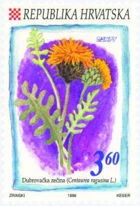 FLORA HRVATSKOGA PODRUČJA - DUBROVAČKA ZEČINA
