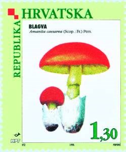 FLORA HRVATSKOGA PODRUČJA - GLJIVE - BLAGVA