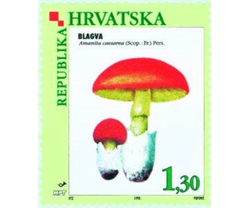 FLORA HRVATSKOGA PODRUČJA - GLJIVE - BLAGVA