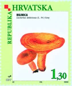 FLORA HRVATSKOGA PODRUČJA - GLJIVE -RUJNICA