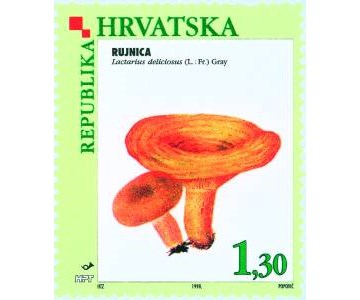 FLORA HRVATSKOGA PODRUČJA - GLJIVE -RUJNICA