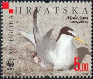 MALA ČIGRA 