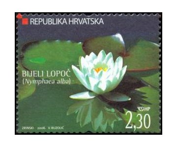 HRVATSKA FLORA - Bijeli lopoč