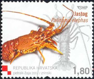 HRVATSKA FAUNA - RAKOVI - JASTOG