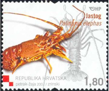 HRVATSKA FAUNA - RAKOVI - JASTOG
