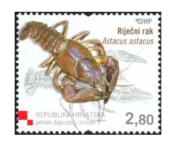 HRVATSKA FAUNA - RAKOVI - RIJEČNI RAK