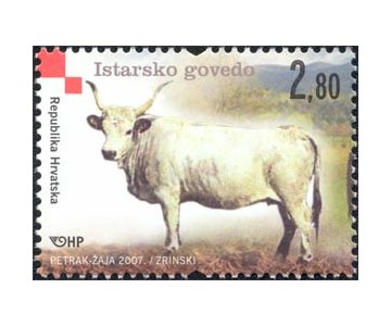 HRVATSKE AUTOHTONE PASMINE - ISTARSKO GOVEDO
