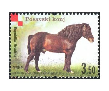 HRVATSKE AUTOHTONE PASMINE - POSAVSKI KONJ