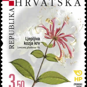 HRVATSKA FLORA - ENDEMI - Ljepljiva kozja krv 