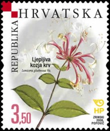 HRVATSKA FLORA - ENDEMI - Ljepljiva kozja krv 