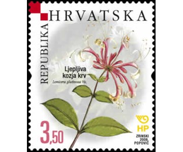 HRVATSKA FLORA - ENDEMI - Ljepljiva kozja krv