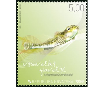 HRVATSKA FAUNA - VISOVAČKI GLAVOČIĆ