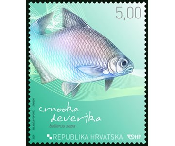 HRVATSKA FAUNA - CRNOOKA DEVERIKA