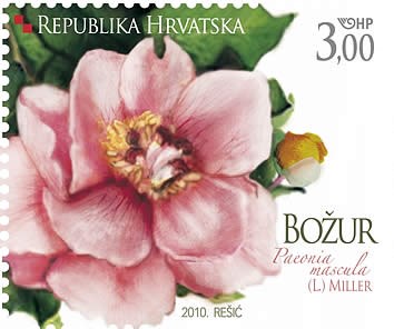 BOŽUR  (blok) 