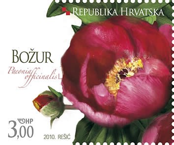 BOŽUR  (blok) 