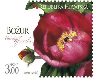 BOŽUR  (blok) 