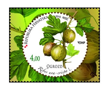 HRVATSKA FLORA – VOĆE - OGROZD
