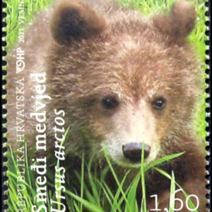 HRVATSKA FAUNA - Smeđi medvjed