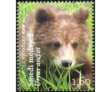 HRVATSKA FAUNA - Smeđi medvjed