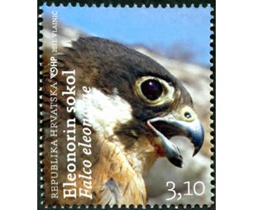 HRVATSKA FAUNA - Eleonorin sokol