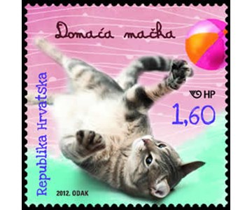 DJEČJI SVIJET – KUĆNI LJUBIMCI - DOMAĆA MAČKA
