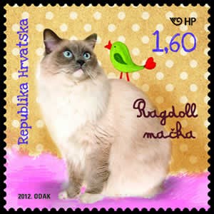 DJEČJI SVIJET – KUĆNI LJUBIMCI - RAGDOLL MAČKA 