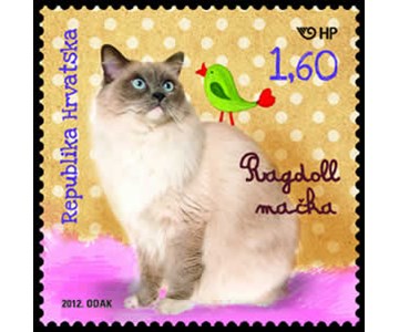 DJEČJI SVIJET – KUĆNI LJUBIMCI - RAGDOLL MAČKA 