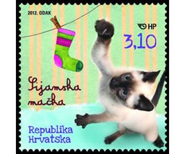 DJEČJI SVIJET – KUĆNI LJUBIMCI - SIJAMSKA MAČKA