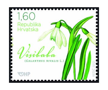 Visibaba