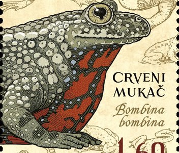 HRVATSKA FAUNA - VODOZEMCI, Crveni mukač 