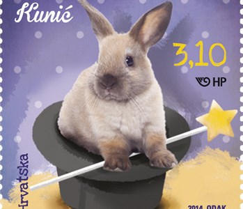 DJEČJI SVIJET – KUĆNI LJUBIMCI,  PATULJASTI KUNIĆ