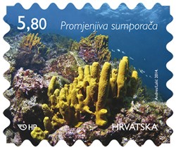 HRVATSKO PODMORJE, Promjenjiva sumporača