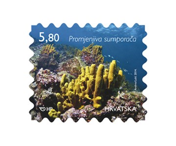 HRVATSKO PODMORJE, Promjenjiva sumporača