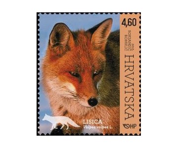 HRVATSKA FAUNA – ŠUMSKE ŽIVOTINJE, LISICA