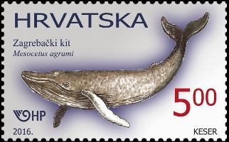 PALEONTOLOGIJA, zagrebački kit