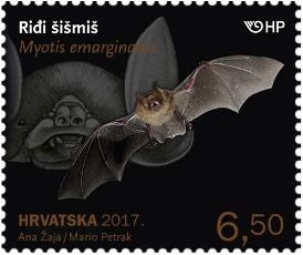 HRVATSKA FAUNA - ŠIŠMIŠI, Riđi šišmiš