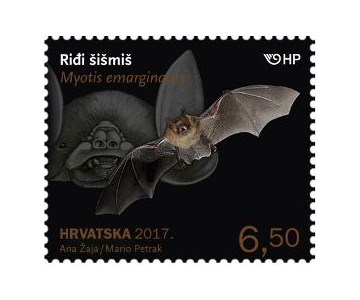 HRVATSKA FAUNA - ŠIŠMIŠI, Riđi šišmiš