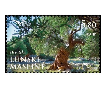 PUMed – DRVEĆE MEDITERANA: LUNSKE MASLINE