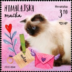 DJEČJI SVIJET - KUĆNI LJUBIMCI - MAČKE II. - Himalajska mačka
