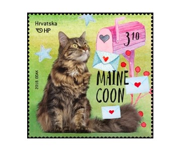 DJEČJI SVIJET - KUĆNI LJUBIMCI - MAČKE II. - Maine Coon