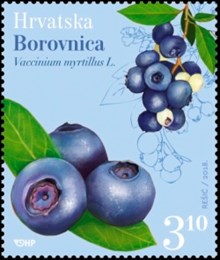 HRVATSKA FLORA - Borovnica