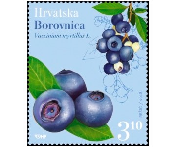 HRVATSKA FLORA - Borovnica