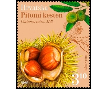 HRVATSKA FLORA - Pitomi kesten