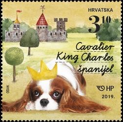 DJEČJI SVIJET – KUĆNI LJUBIMCI, PSI 2 - Cavalier King Charles Španijel