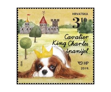 DJEČJI SVIJET – KUĆNI LJUBIMCI, PSI 2 - Cavalier King Charles Španijel