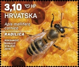 HRVATSKA FAUNA – SIVA PČELA, radilica