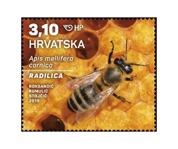 HRVATSKA FAUNA – SIVA PČELA, radilica